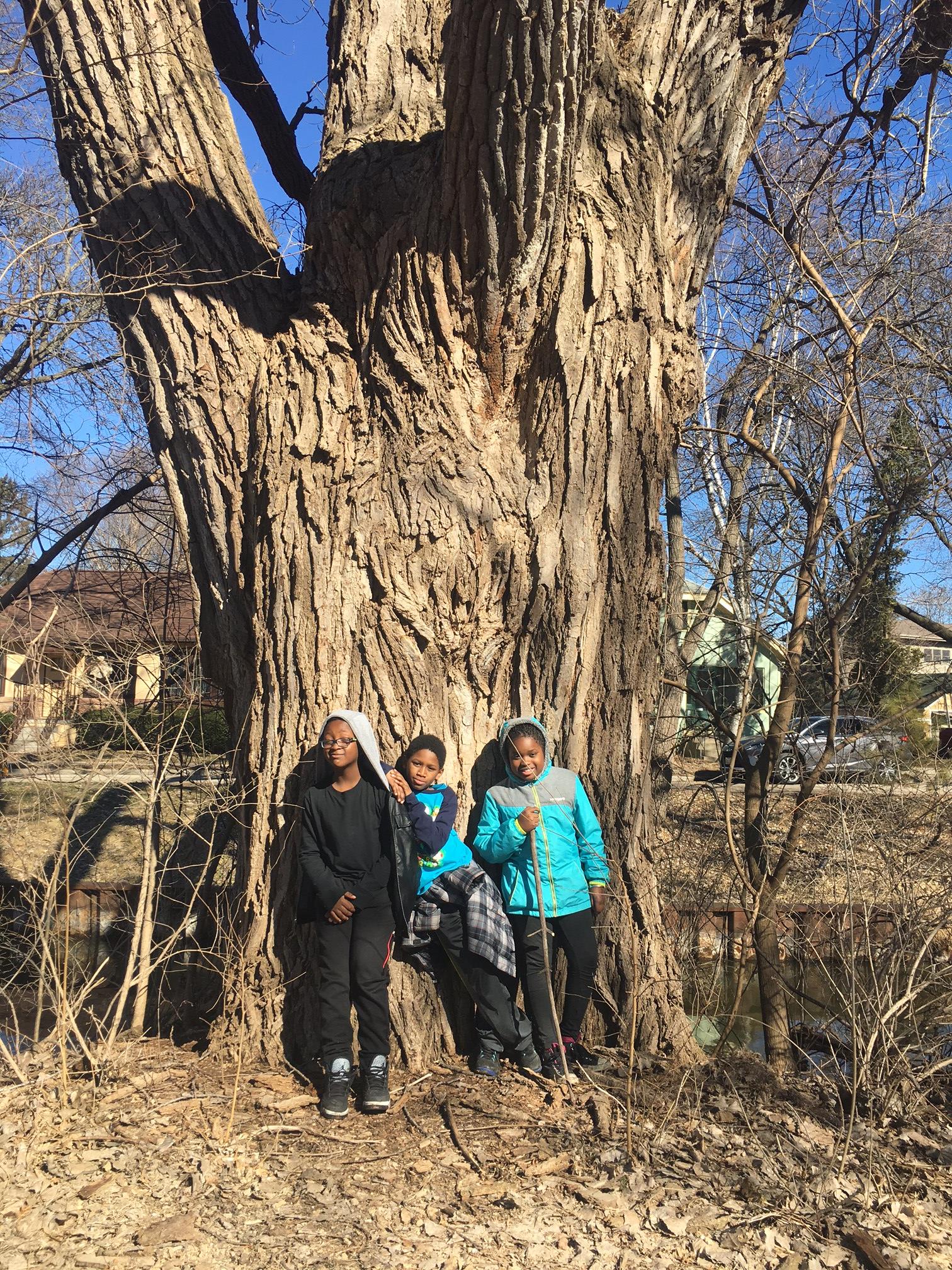 This tree has many stories, which these kids can tell you about!